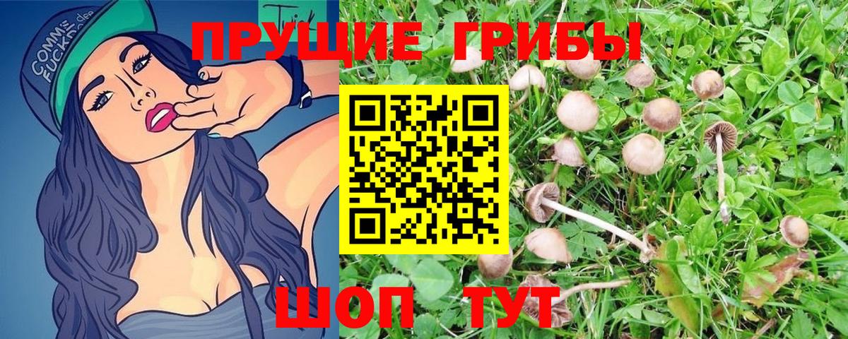 Славгород  Псилоцибиновые грибы ЛСД  Галлюциногенные грибы Magic Shrooms  Вход с VPN 