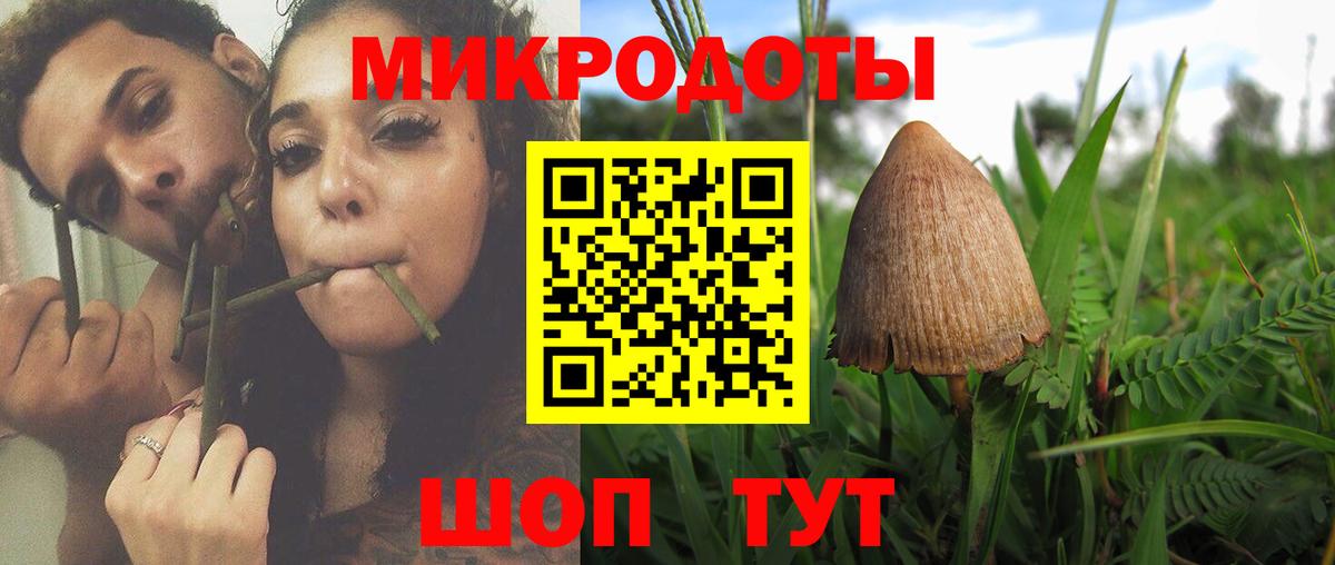 Псилоцибиновые грибы GOLDEN TEACHER Славгород